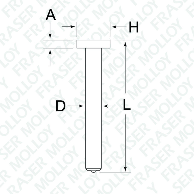Headed Anchor Fraser Molloy