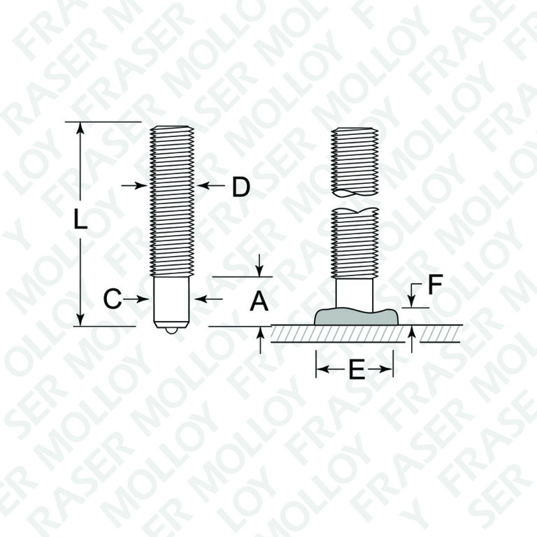 Partial Thread Fraser Molloy